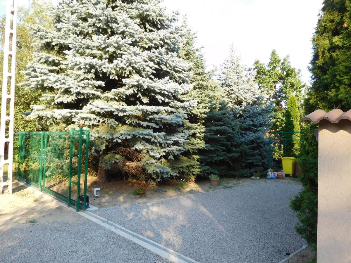 Golden Apartman オロシュハーザ エクステリア 写真